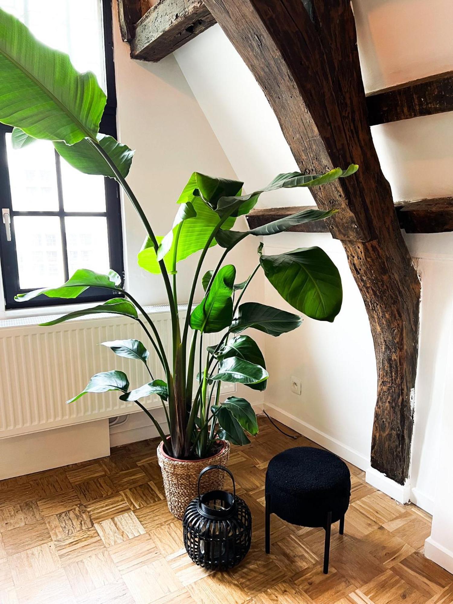 Nammos Home'S Amberes Exterior foto